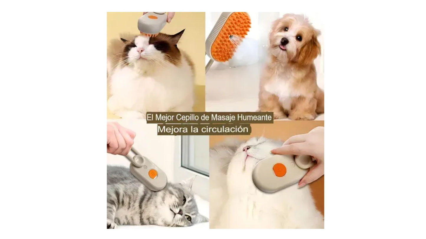 consintiendo a tu compañero
